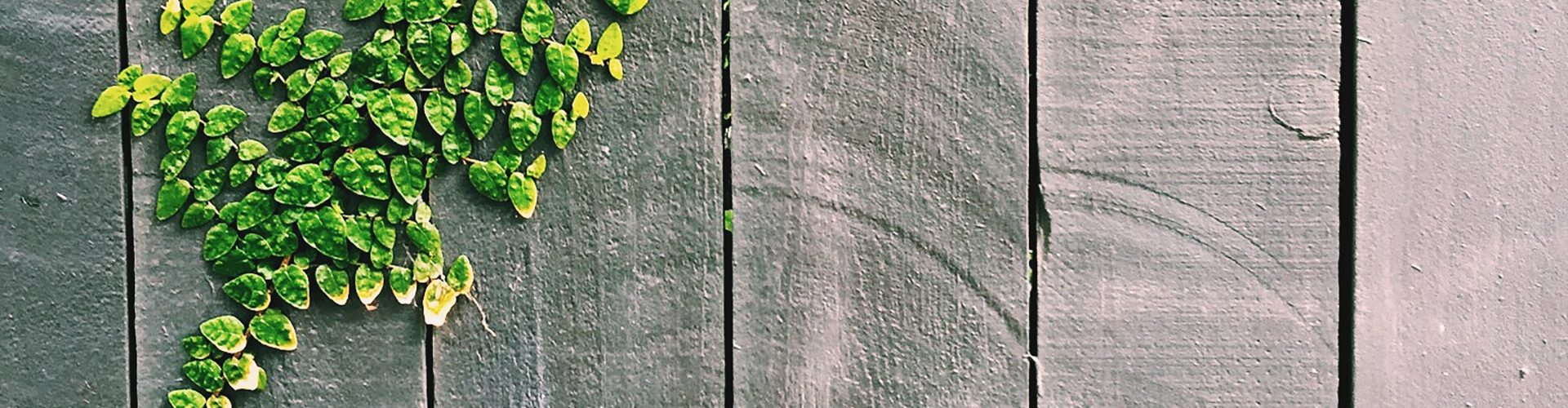 color-design-fence-212265