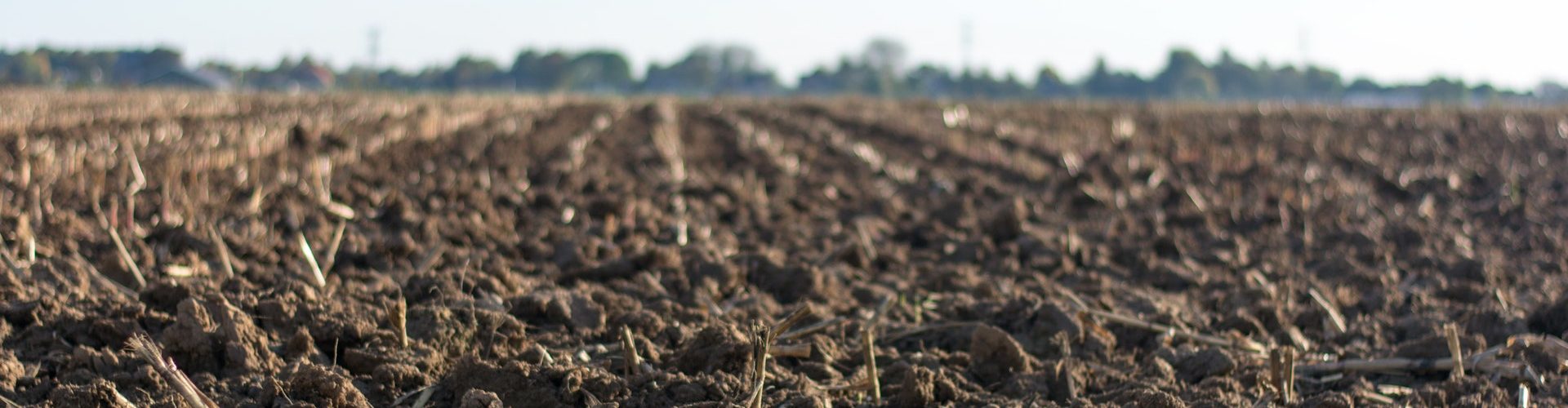 cropland-farm-farmland-1000057